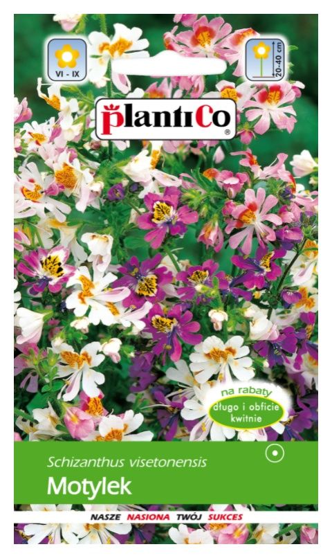 motylek mix plantico