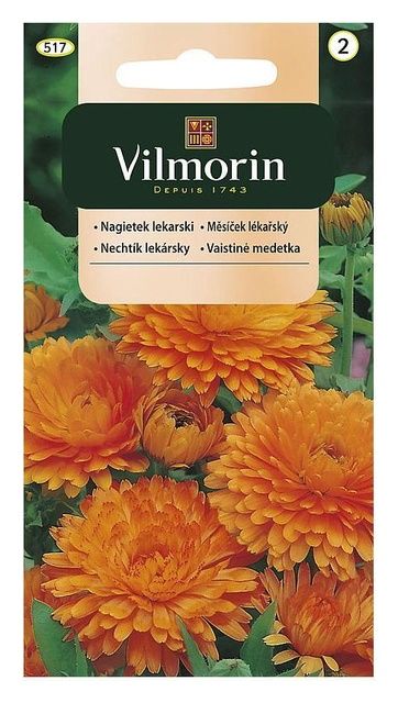 Nagietek lekarski 1g Vilmorin