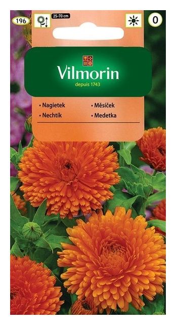 Nagietek Lekarski pomarańczowy 3g Vilmorin