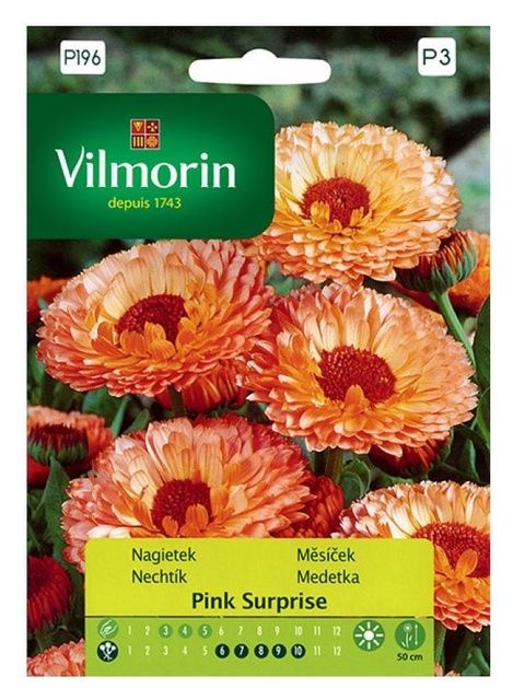 Nagietek Pink Surprise Vilmorin