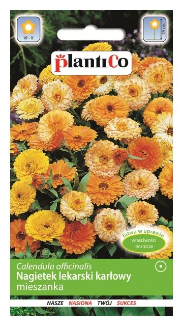 Nagietek lekarski niski MIX 2g PlantiCo