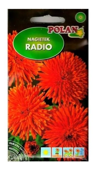 Nagietek Radio 3g Polan