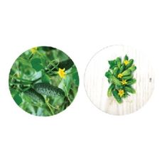 Nakrętka fi 82 6-zaczepowa Ogórki Mix 700 sztuk HELMET