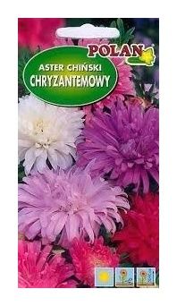 Aster chiński chryzantemowy mix 1g Polan