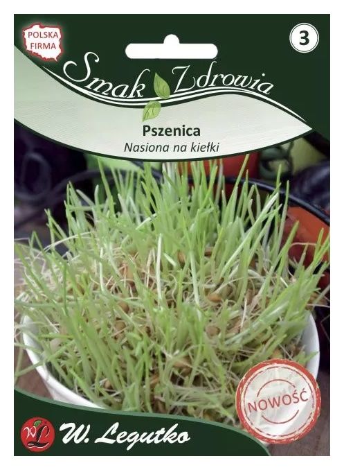 Nasiona na kiełki - pszenica 50g Legutko