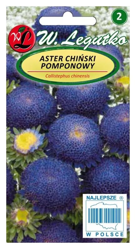 Aster chiński pomponowy ciemnoniebieski 1g Legutko