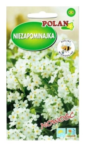 Niezapominajka Polan