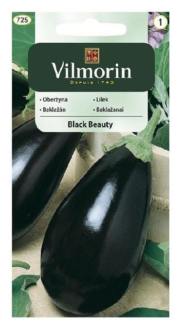 Oberżyna Black Beauty 2g Vilmorin