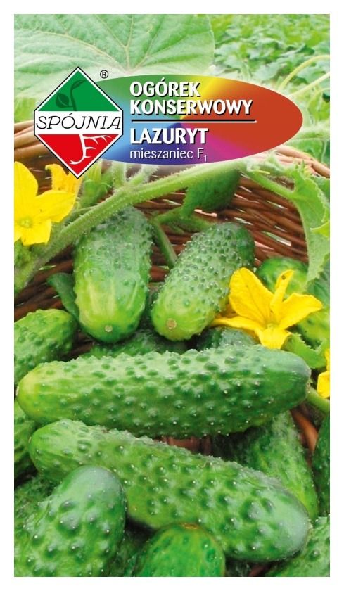 Ogórek Lazuryt F1
