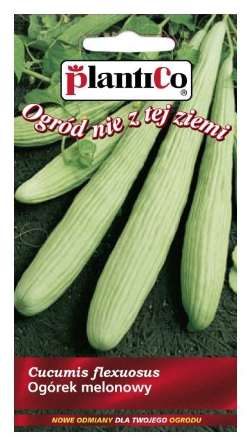 Ogórek MELONOWY 3g PlantiCo