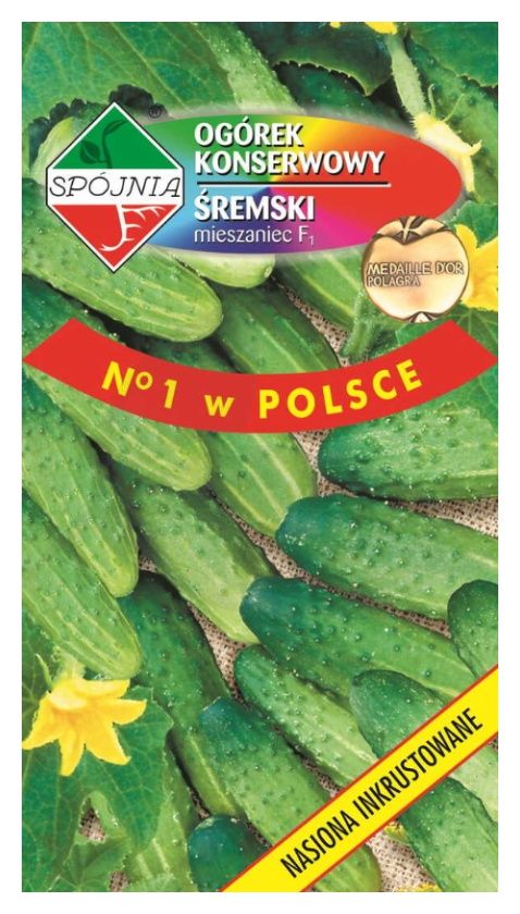 Ogórek Śremski F1 2g Spójnia