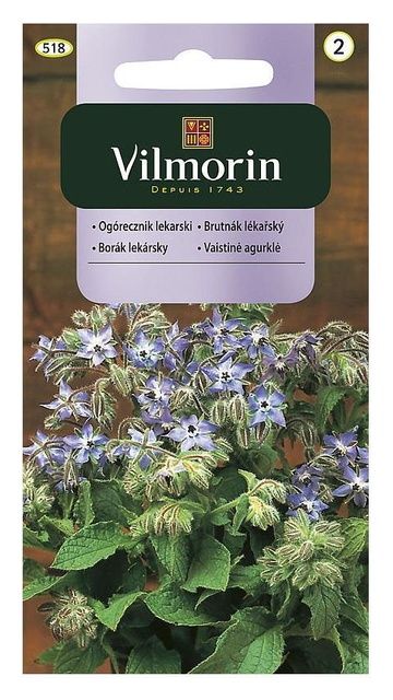 Ogórecznik Lekarski 2g Vilmorin