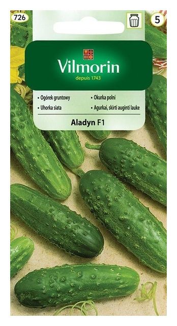 Ogórek Aladyn mieszaniec F1 5g Vilmorin