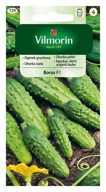 Ogórek Borus F1 5g Vilmorin