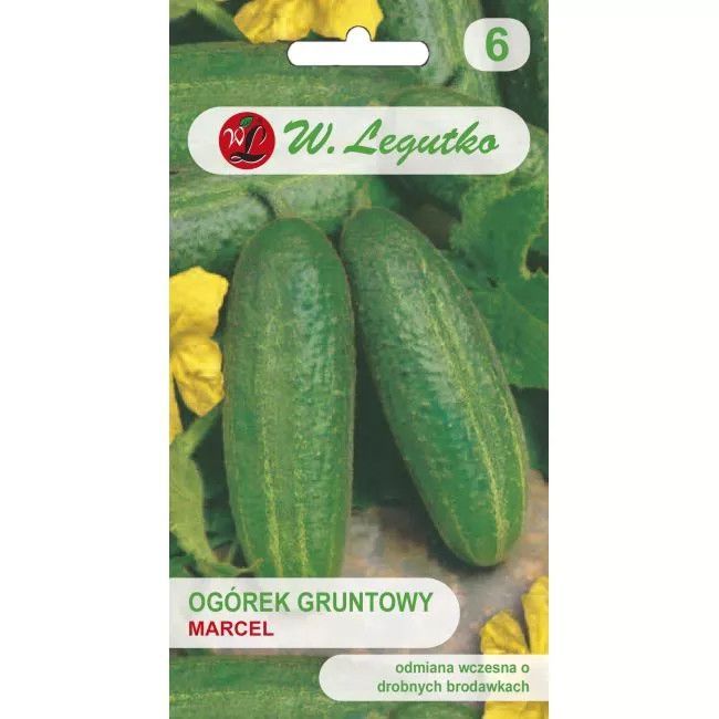 Ogórek drobnobrodawkowy Marcel F1 - 5 g Legutko