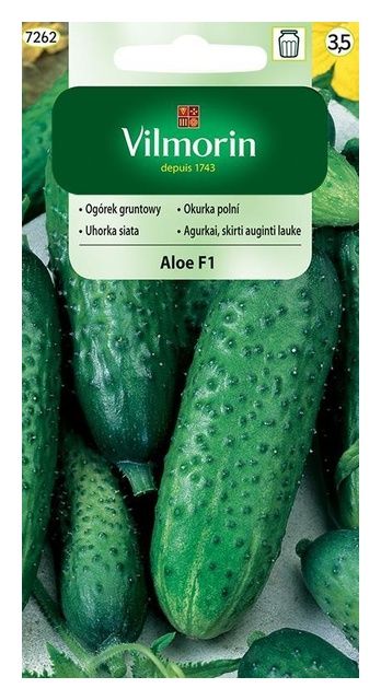 Ogórek gruntowy Aloe F1 3g Vilmorin