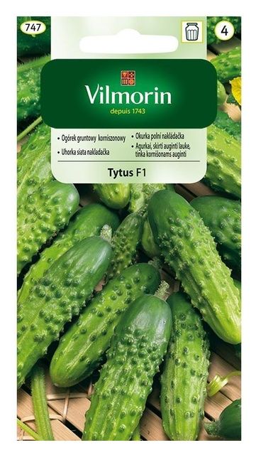 Ogórek gruntowy korniszonowy Tytus 3g Vilmorin