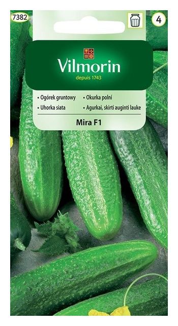 Ogórek gruntowy Mira F1 3g Vilmorin