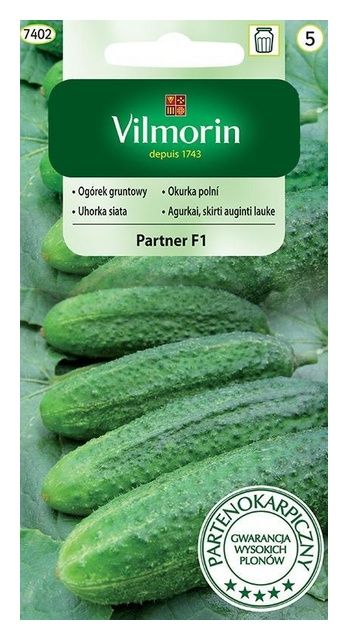 Ogórek gruntowy Partner F1 3g Vilmorin