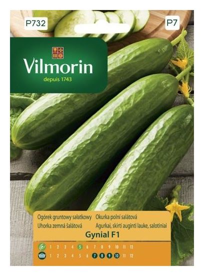 Ogórek gruntowy sałatkowy Gynial F1 2g Vilmorin
