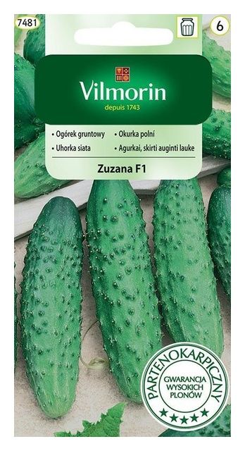 Ogórek gruntowy Zuzana F1 3g Vilmorin