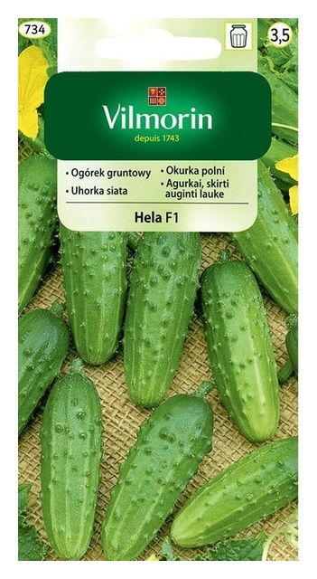 Ogórek Hela F1 5g Vilmorin