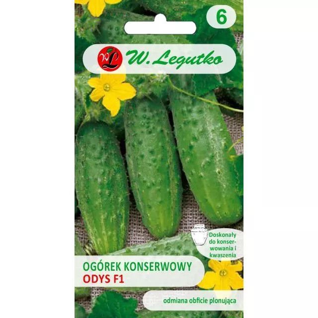 Ogórek konserwowy Odys F1 - 5g Legutko