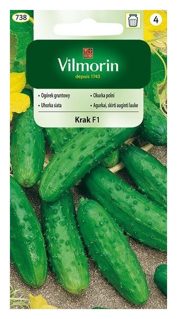 Ogórek Krak 5g Vilmorin