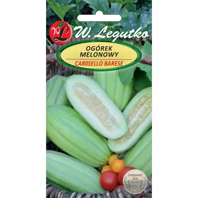 Ogórek melonowy Carosello Barese - 2 Legutko