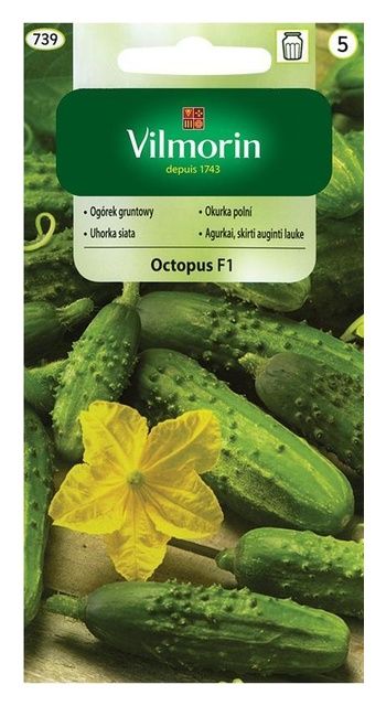 Ogórek Octopus 2g Vilmorin