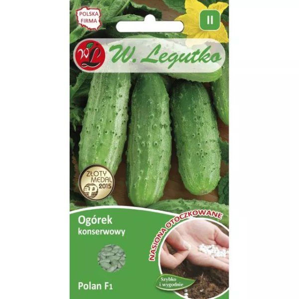 Ogórek otoczkowany Polan F1- 50 nasion Legutko