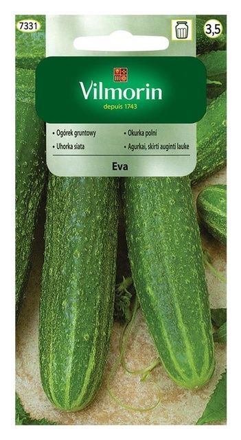Ogórek sałatkowy Eva 5g Vilmorin
