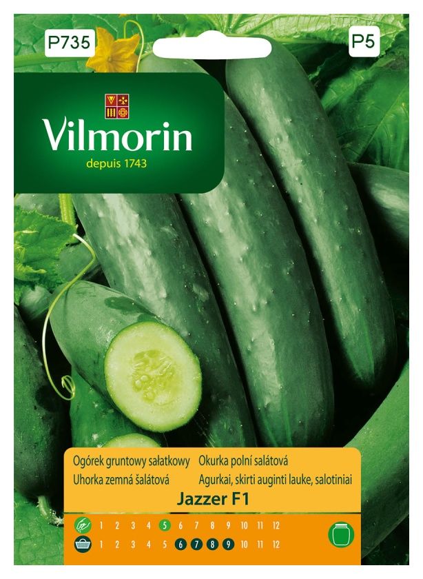 Ogórek sałatkowy Jazzer F1 10 ziaren Vilmorin