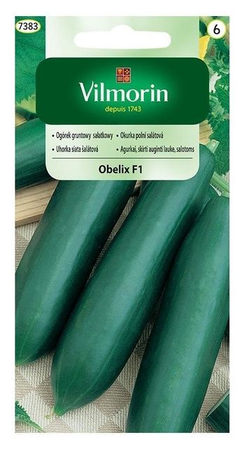 Ogórek sałatkowy Obelix F1 3g Vilmorin