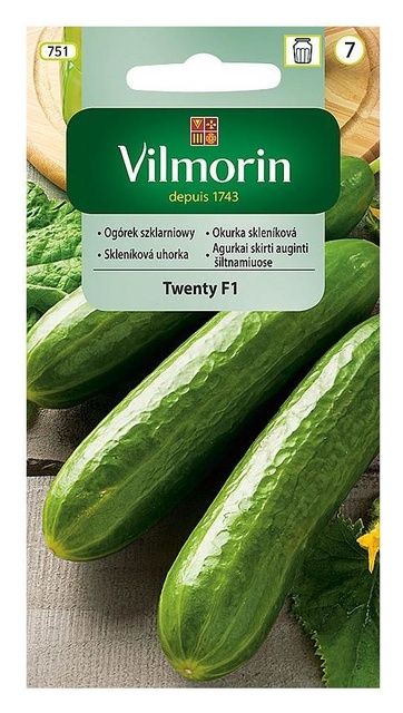 Ogórek szklarniowy Twenty F1 20 sztuk Vilmorin