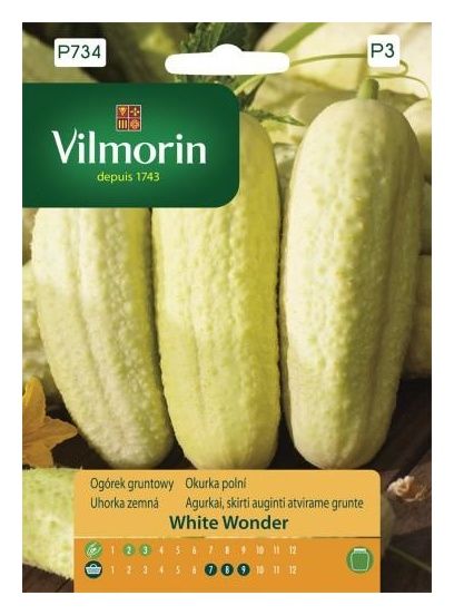 Ogórek White Wonder 2g Vilmorin