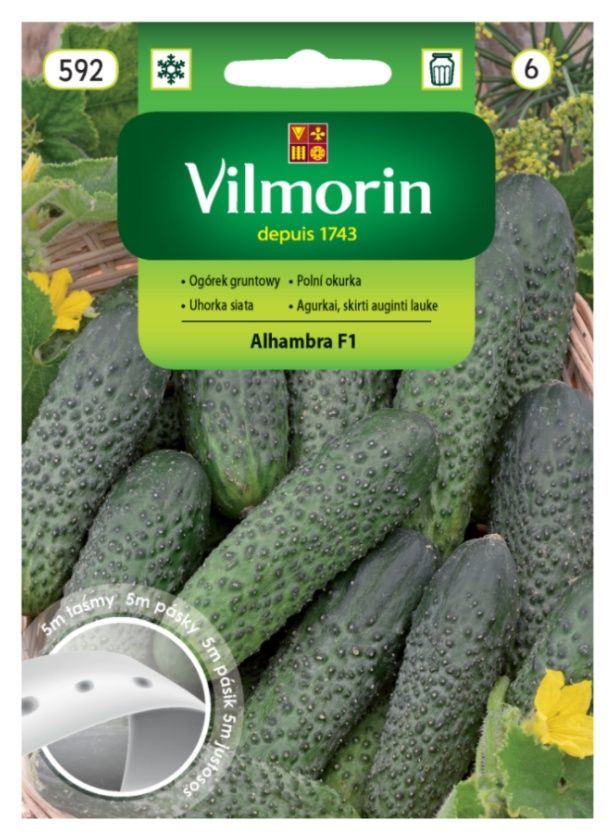 ogorek alhambra f1