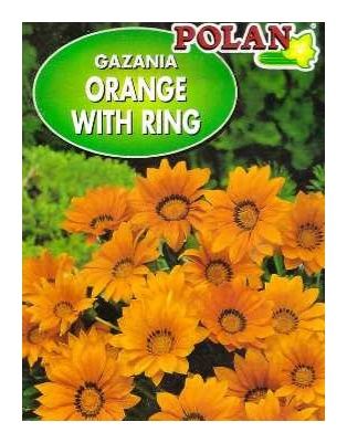 Gazania Orange with Ring 15 nasion Polan