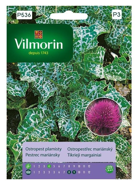 Ostropest plamisty 2g Vilmorin