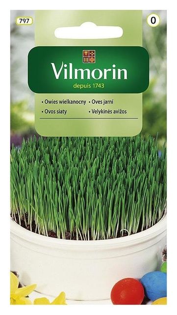 Owies Wielkanocny 5g Vilmorin
