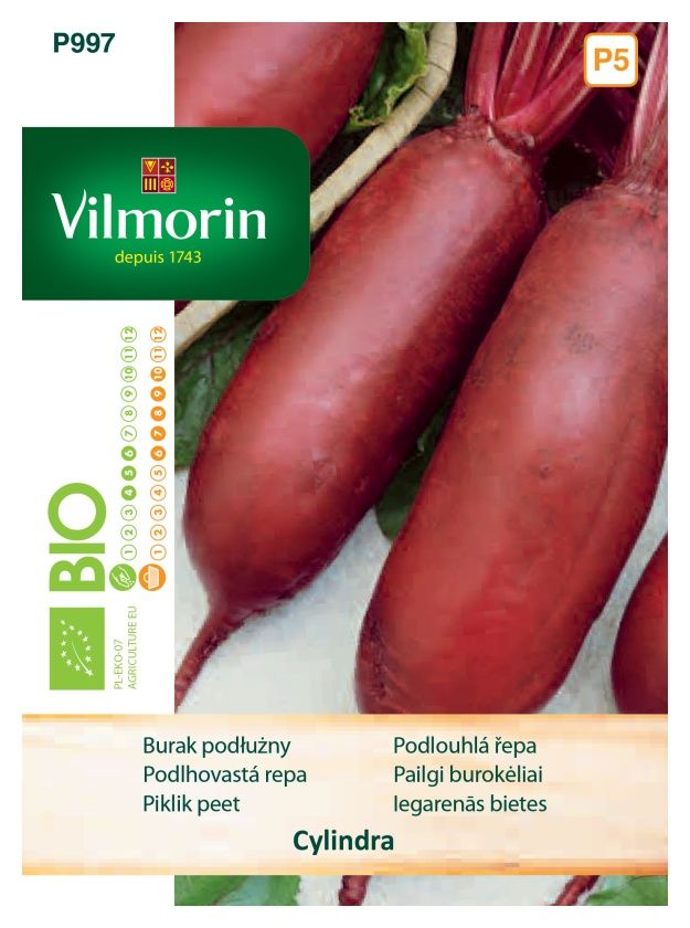 Burak podłużny Cylindra Bio 10g Vilmorin
