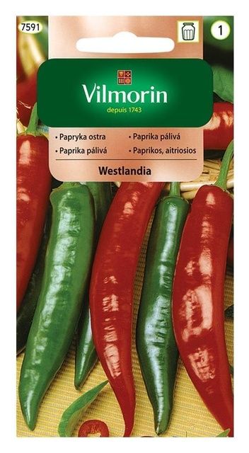 Papryka ostra Westlandia 0,5g Vilmorin