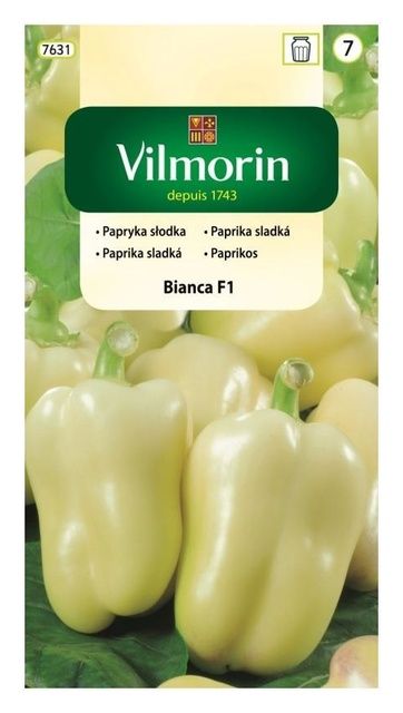Papryka słodka Bianca F1 Vilmorin