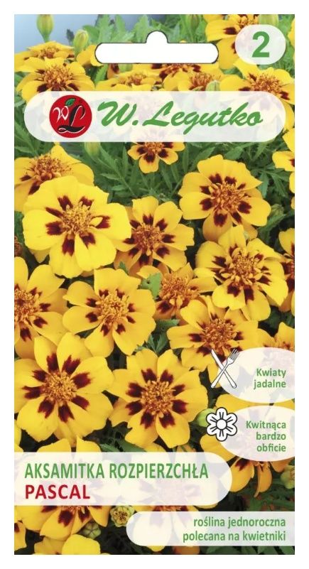 Aksamitka rozpierzchła Pascal 1g Legutko