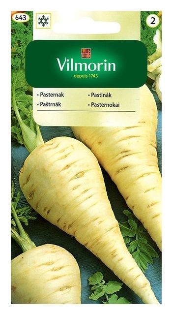 Pasternak Półdługi biały 5g Vilmorin