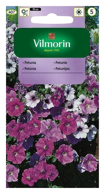 Petunia zwisająca 0,1g Vilmorin