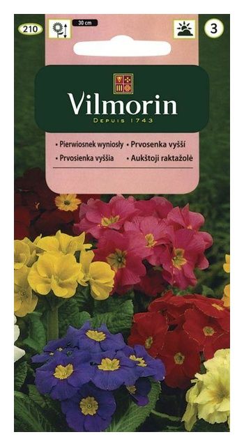 Pierwiosnek wyniosły 0,3g Vilmorin