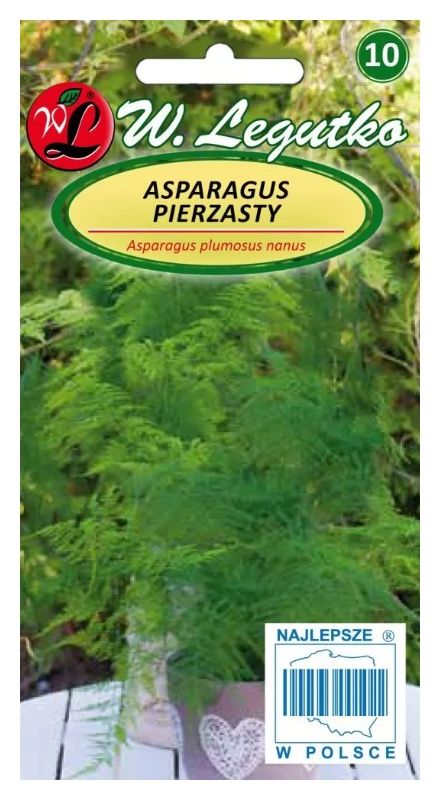 Asparagus pierzasty 0,5g Legutko