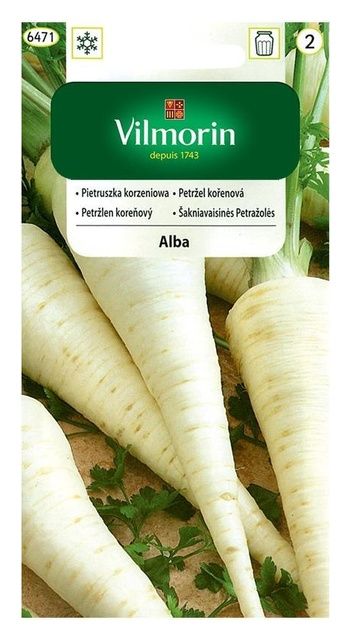 Pietruszka Alba 3g Vilmorin