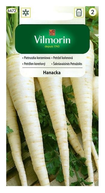 Pietruszka korzeń Hanacka 5g Vilmorin